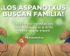 Aspanovas Bizkaia - Asociación de padres de niños con cáncer