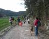 Associació protectora d'animals del Pla de l'Estany - APAPE