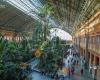 Atocha