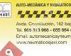 Auto-Mecánica Y Neumáticos Javi, S.L.