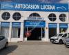 Autocasion Lucena.