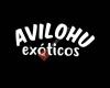 Avilohu Exoticos