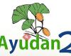 Ayudan2