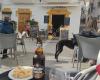Bar andaluz