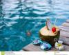 Bar Les Piscines De Gerb 2016