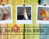 Barcelona Birds
