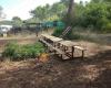 Barcelona Paintball