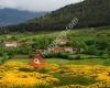 Barriopalacio, Cantabria, Spain