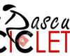 Bicis Luis Pascual