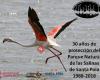 Birdwatching Club Santa Pola