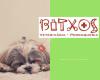 Bitxos Veterinària