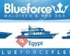 Blue Force Fleet