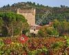 Bodega Castillo de Cuzcurrita