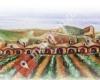 Bodega Cooperativa Los Oteros
