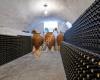 Bodega Domingo y Quiles