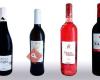 Bodega San Isidro