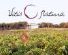 Bodega Vitis Natura. Vinos y Viñedos Ecológicos