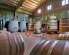 Bodegas Amaren - Vinos de Rioja Alavesa