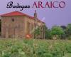 Bodegas Araico