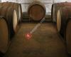 Bodegas Honorio Rubio, Cordovín