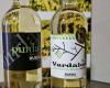 Bodegas Pindal