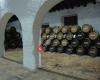 Bodegas Saenz