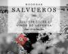 Bodegas Salvueros