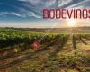 Bodevinos