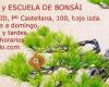 Bonsaikido - tienda y escuela de bonsái en Madrid