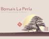 Bonsais La Perla