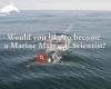 BOTTLENOSE DOLPHIN RESEARCH INSTITUTE - BDRI