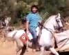 Bricohogar Siles