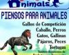 Brinca Animals