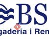 BSF Bugaderia i Renting