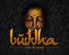 Buddha Cafe & Copas