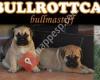 BullRottCan Kennel - Bullmastiff