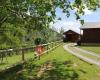 Bungalows Ordesa