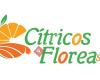 Cítricos Florea