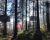 Cabañas en los árboles - Cabanes als arbres