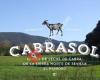 Cabrasol