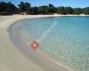 Cala Bassa Camping Ibiza