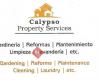 Calypso property services SL