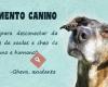 Campamento Canino / Cuidadora de mascotas