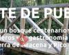 Camping El Madroñal