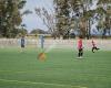 Campo Futbol Guadalmar