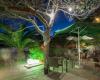 Can Jaume Beach Bar