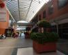 Canela Store