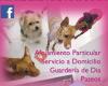 Canguro Mascotas/Guarderia Canina Ourense