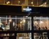 Canino Tapas y Vino