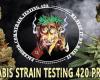 Cannabis Strain Testing 420 Project